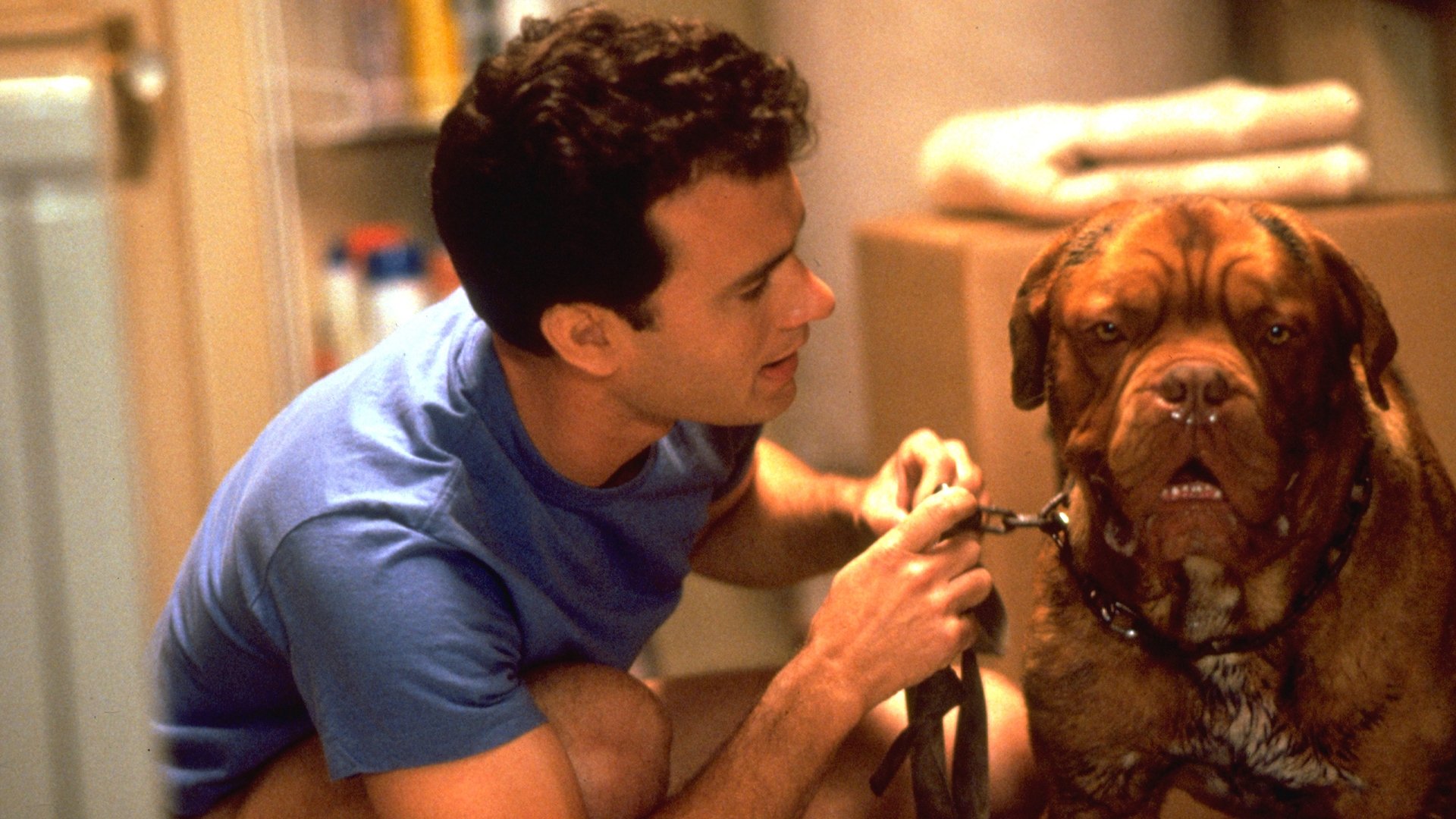 Turner & Hooch (1989)