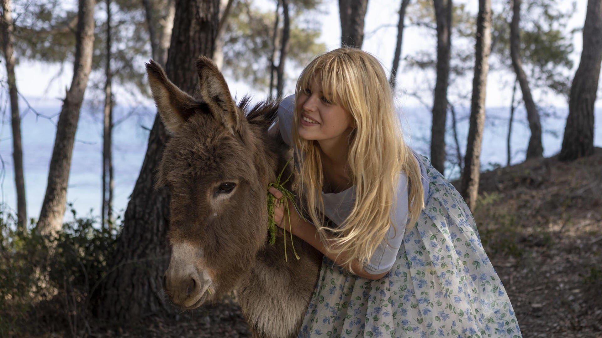 Bardot