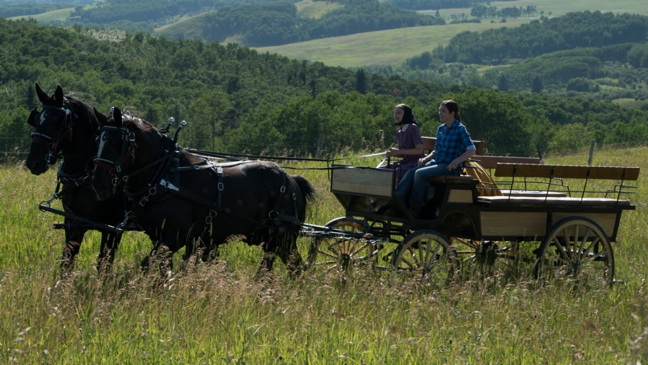 Heartland - Season 8 Episode 7 : Camina en mis zapatos (2023)