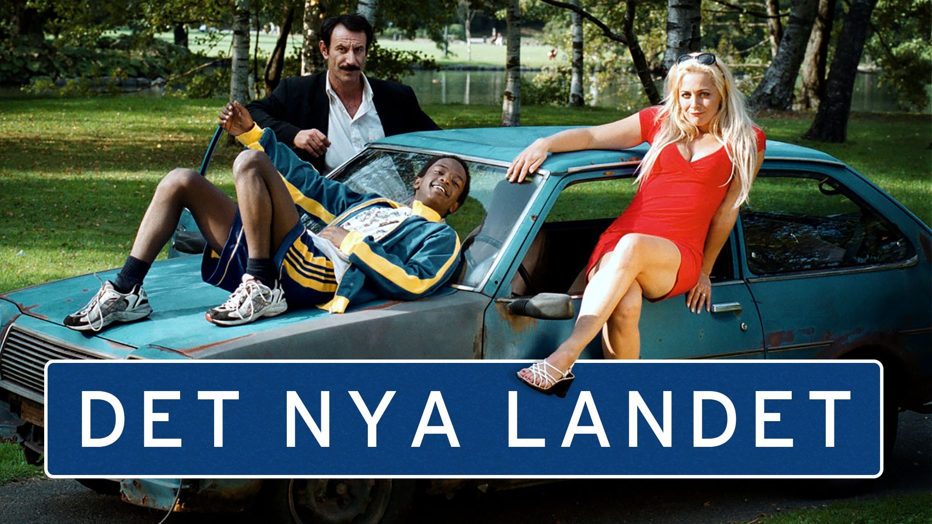 The New Country (2000)