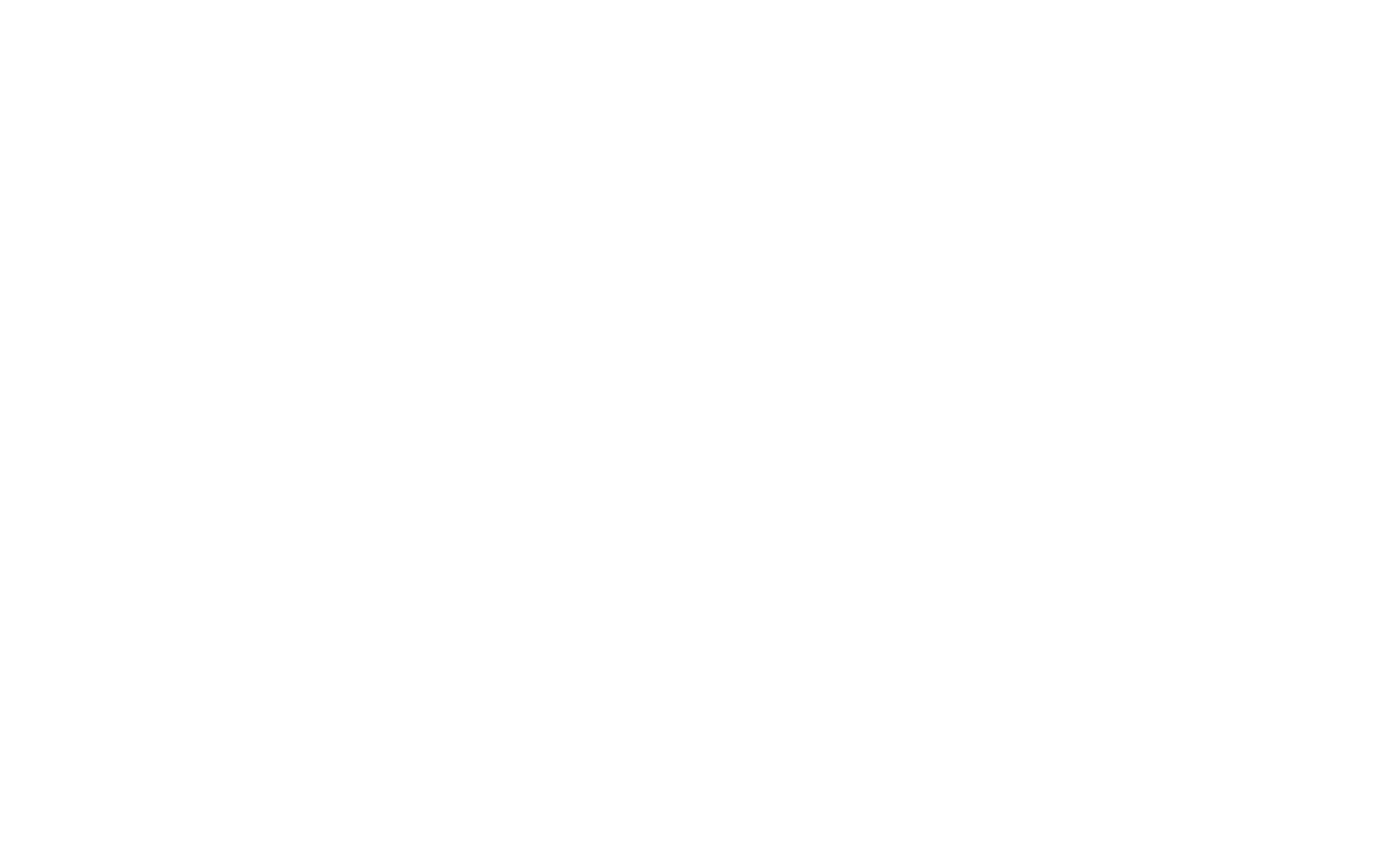The Magus logo