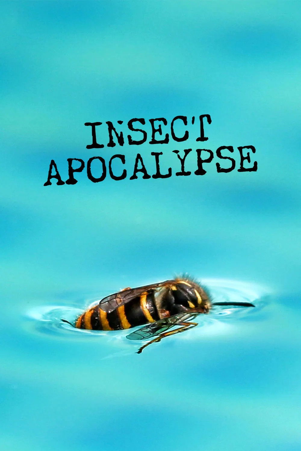 Insect Apocalypse