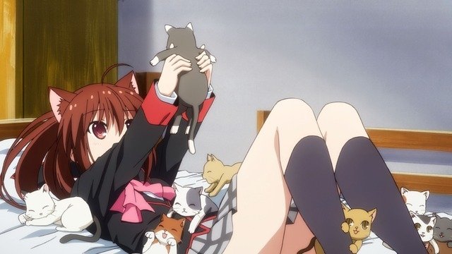 Episode 11