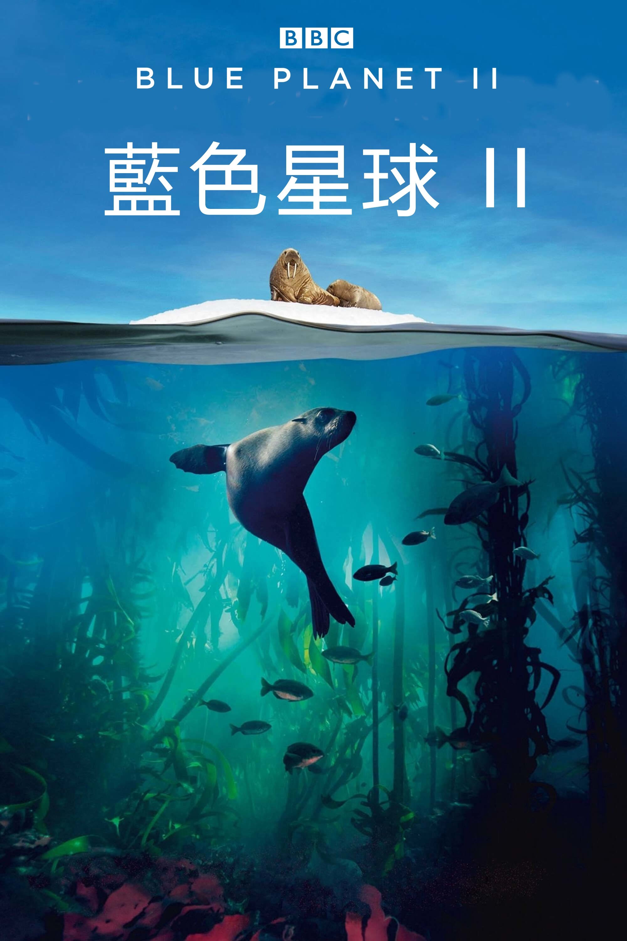 蓝色星球 2