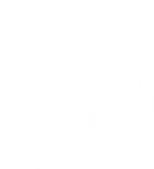ظُلم المصطبة