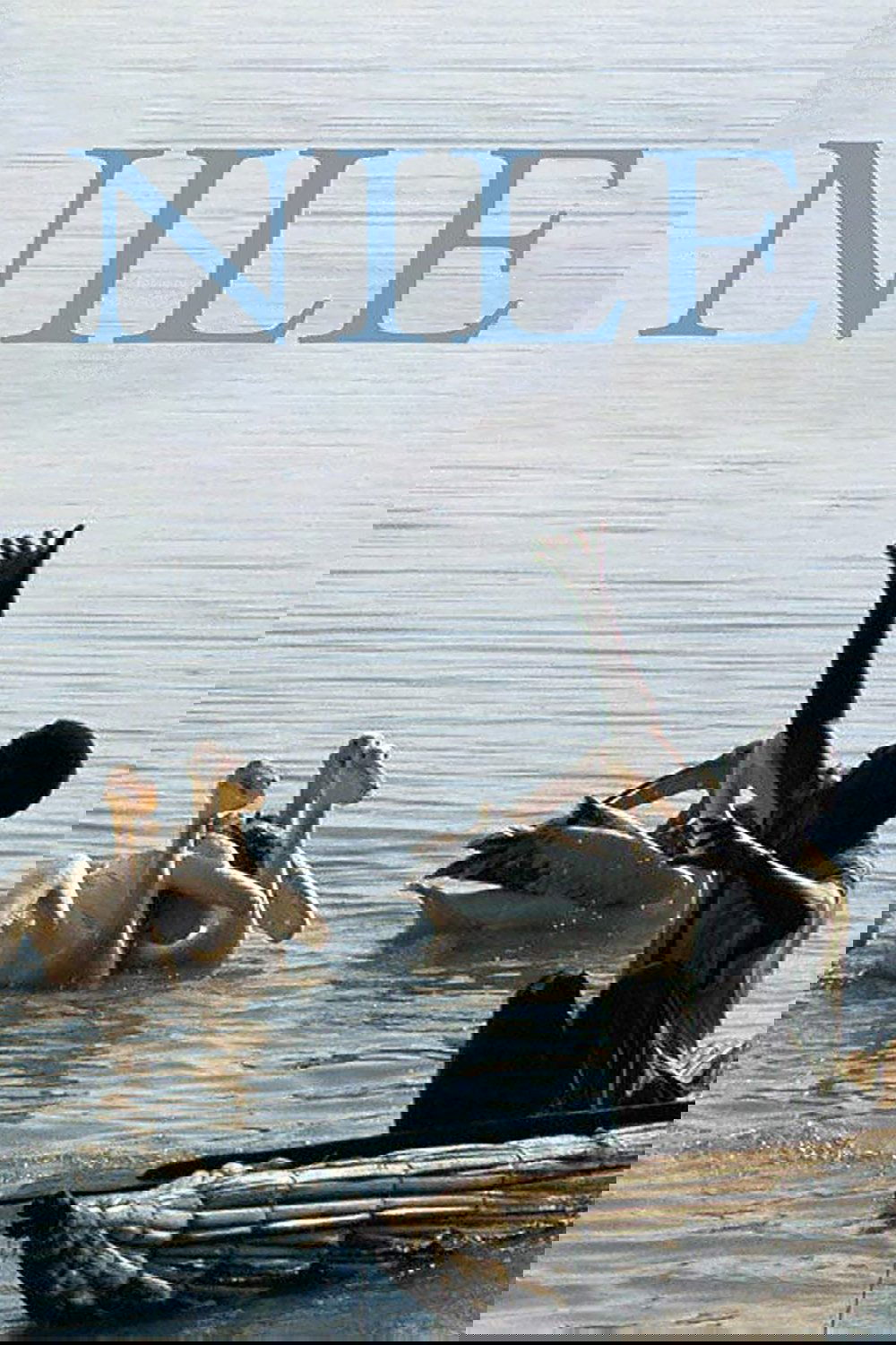 Nile
