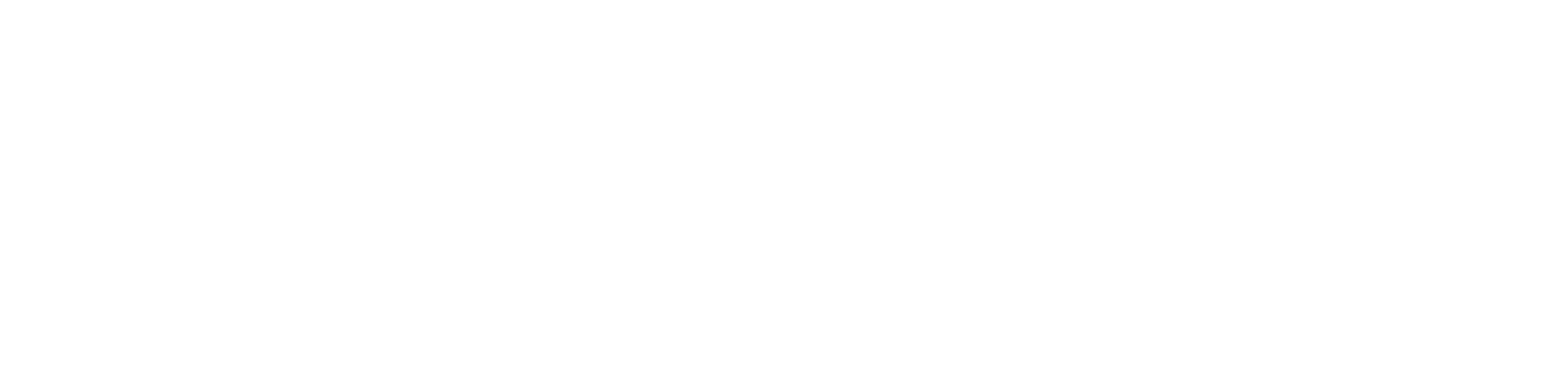 Russia 1985-1999: TraumaZone Logo