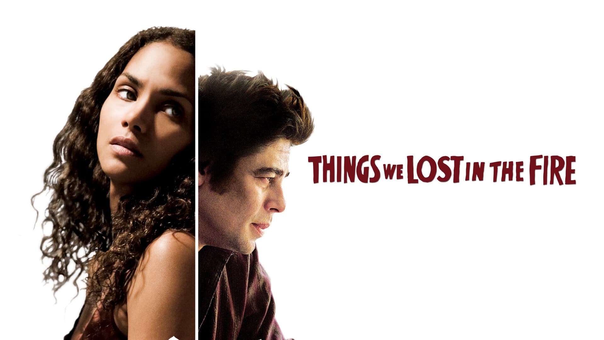 Things We Lost in the Fire (2007)