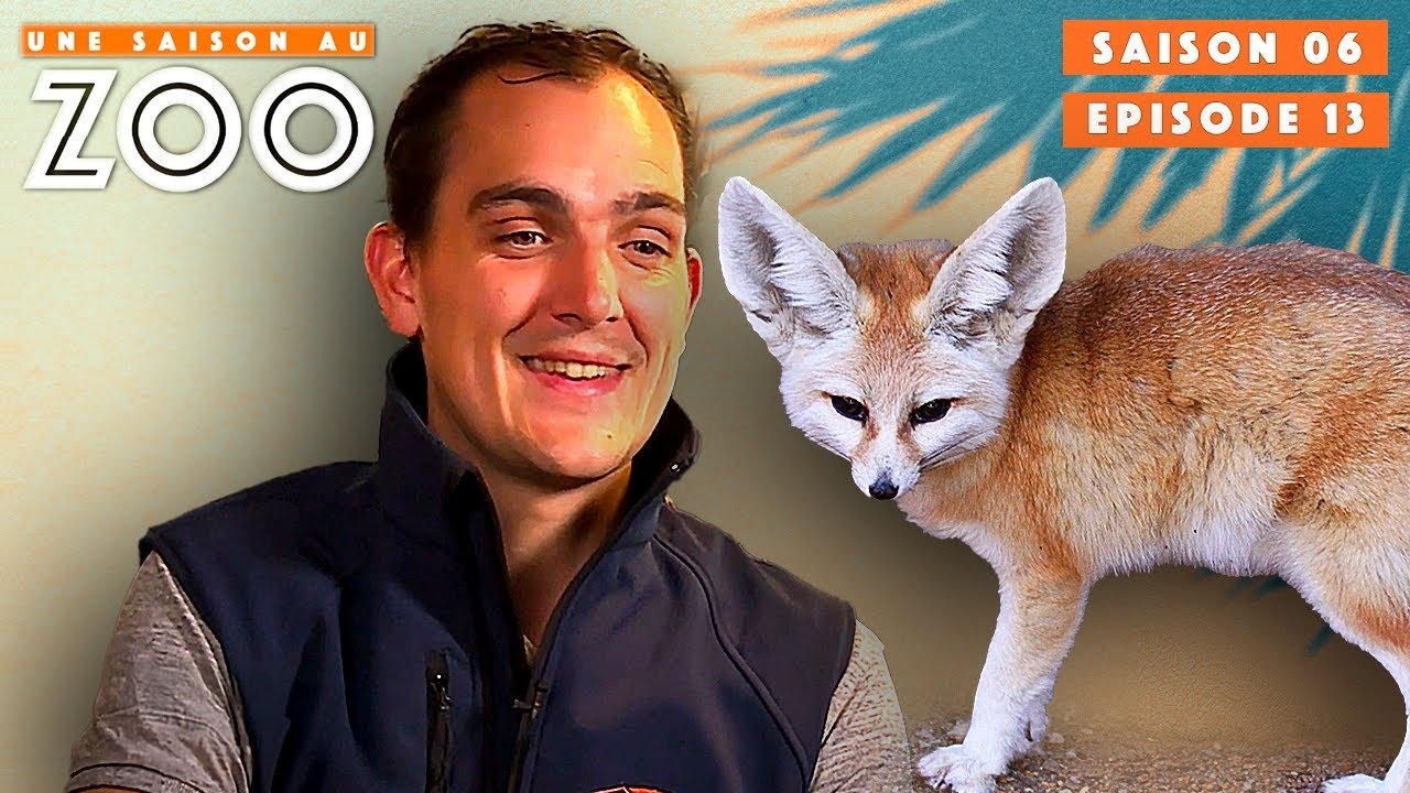 Une saison au zoo - Ouverture officielle de l'Activité "Soigneur d'un Jour" !