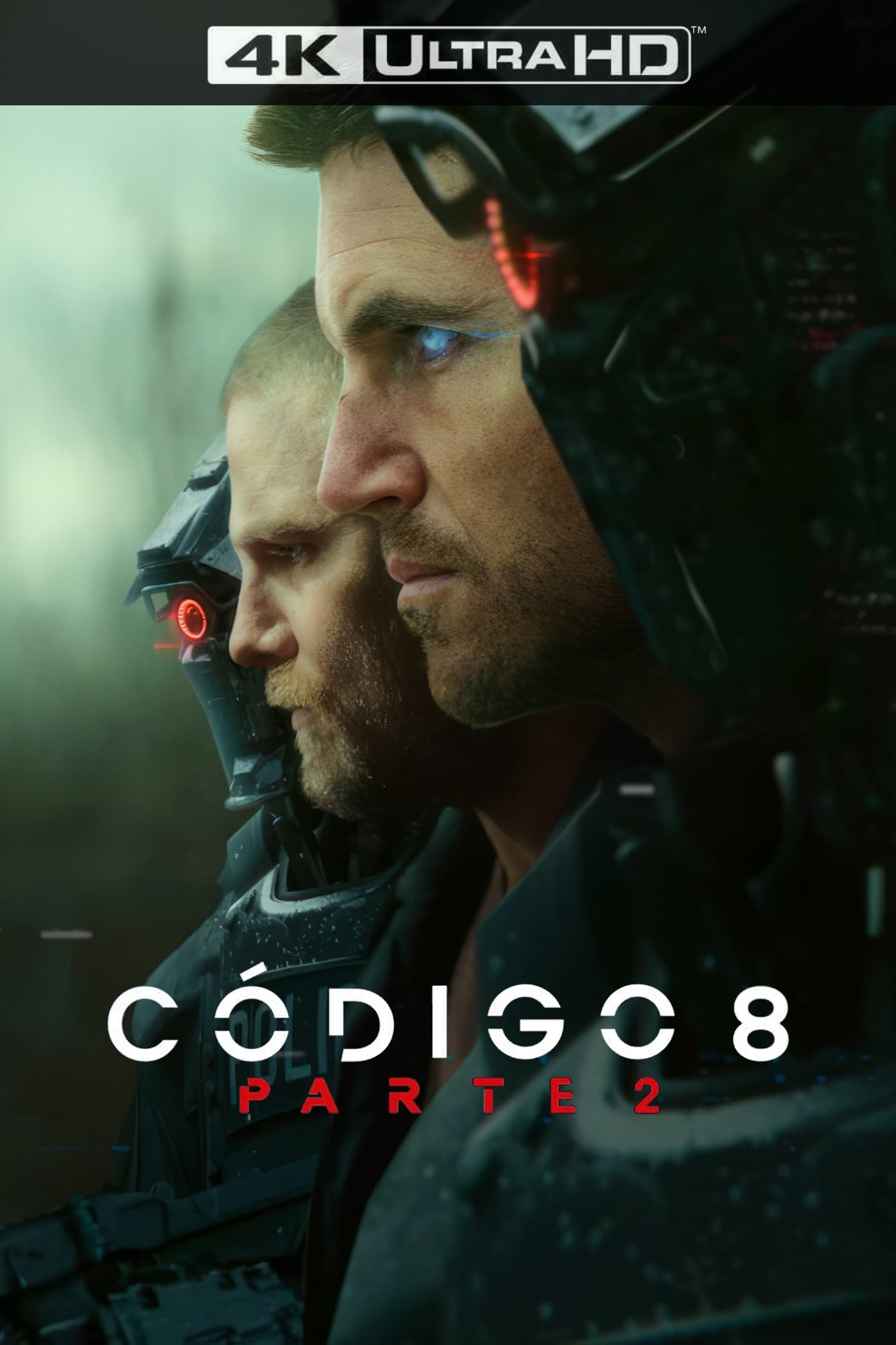 Poster 4
