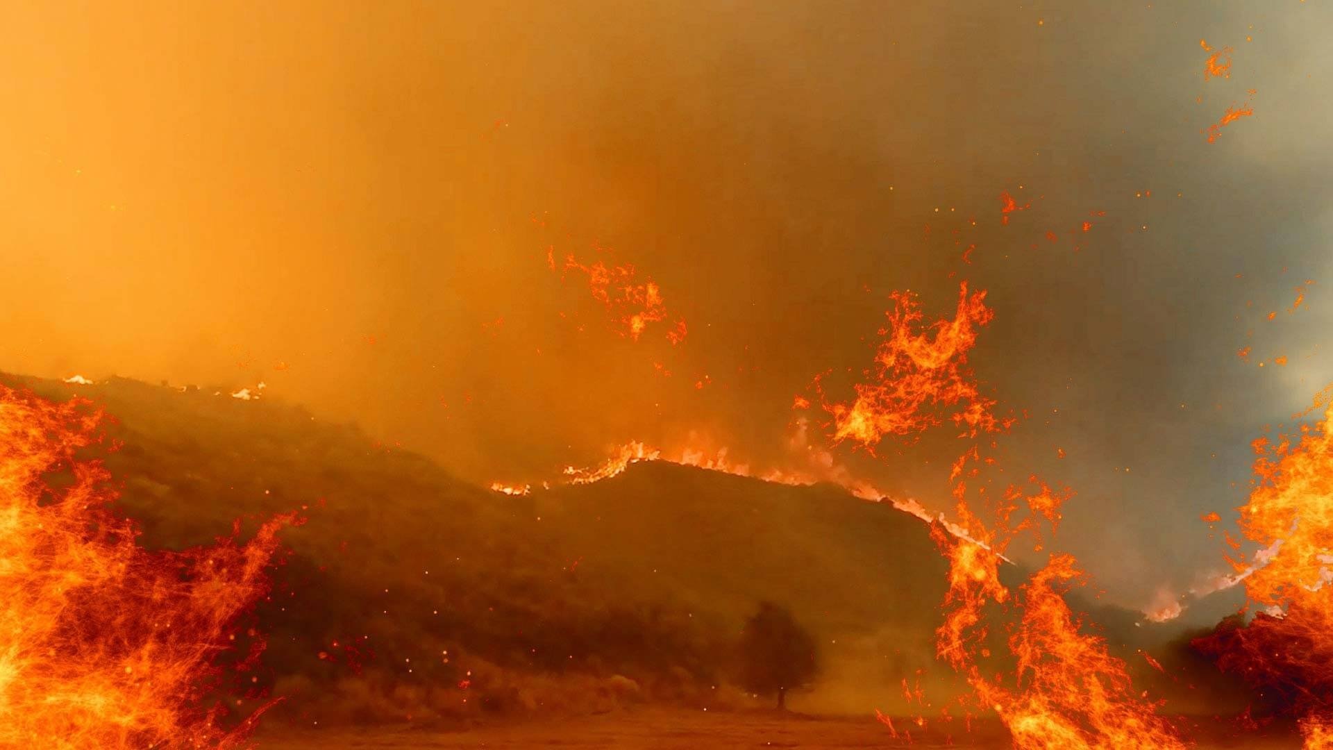 Imagem do Filme 800 Derece