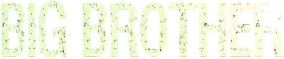 Big Brother logo