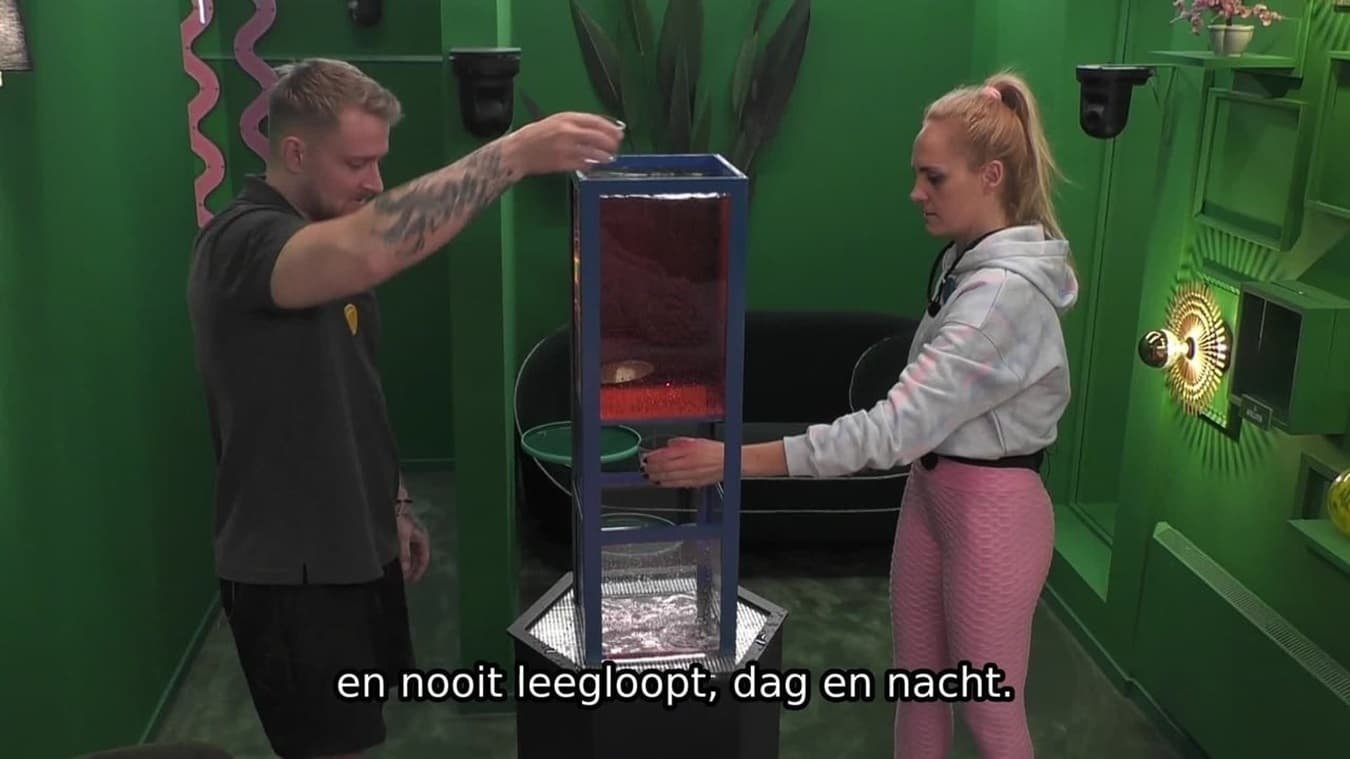 Big Brother