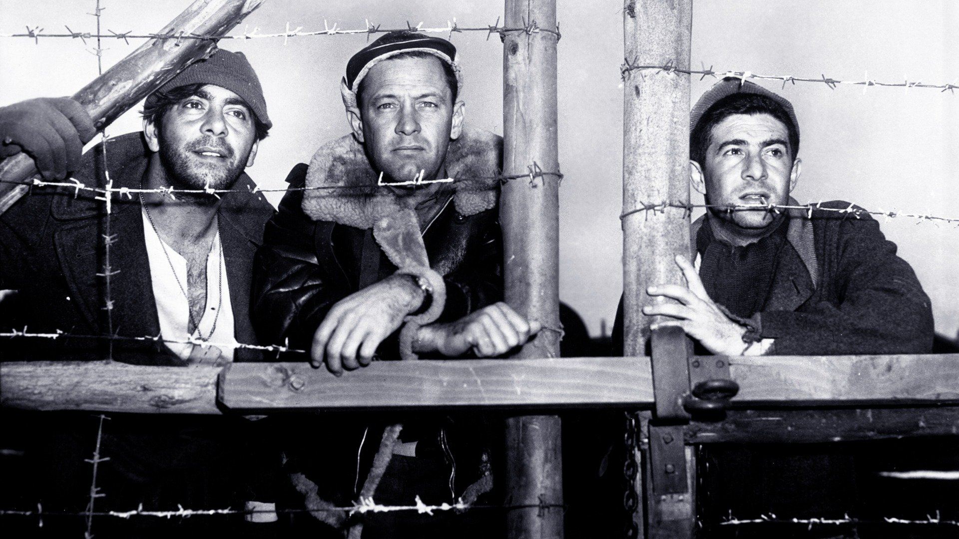 Stalag 17 (1953)