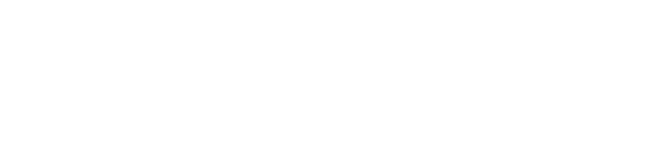 The Lucky One Logo