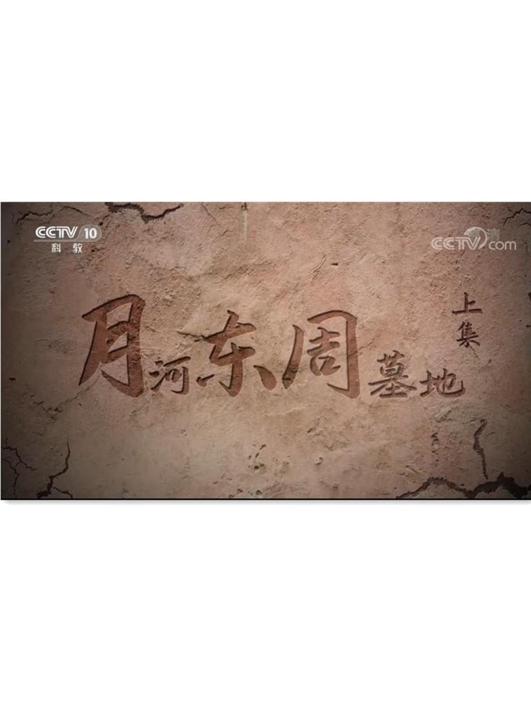 月河东周墓地