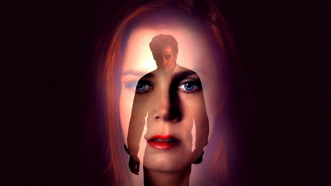 Nocturnal Animals (2016)