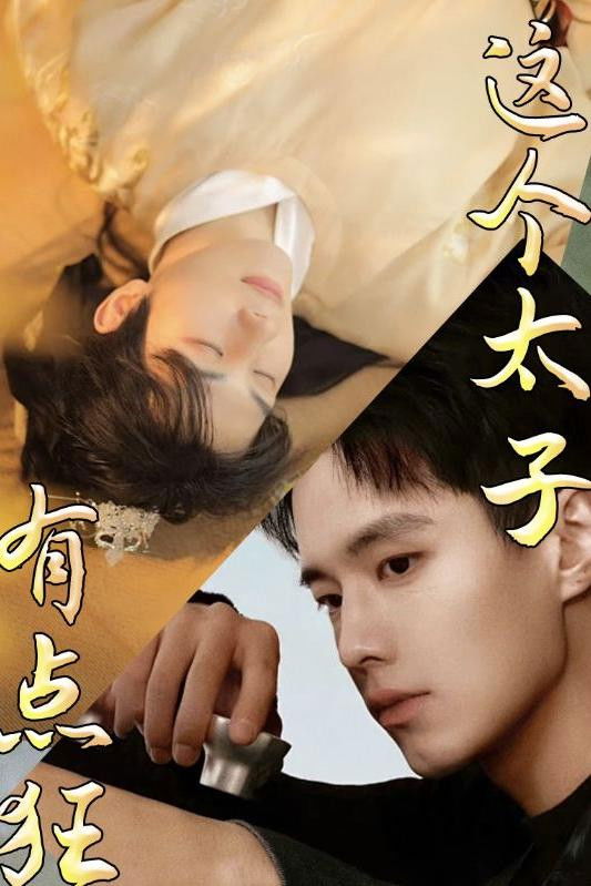 这个太子有点狂