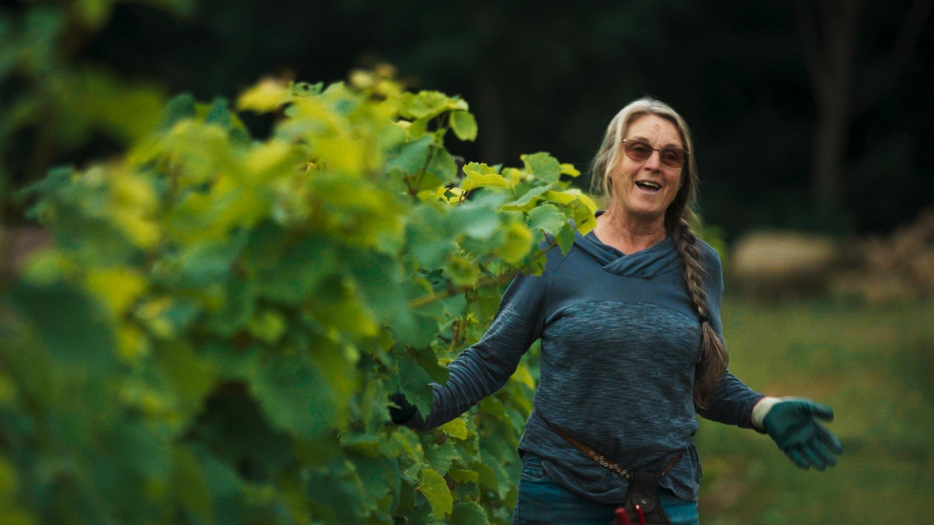 La vigne est belle - Épisode 4