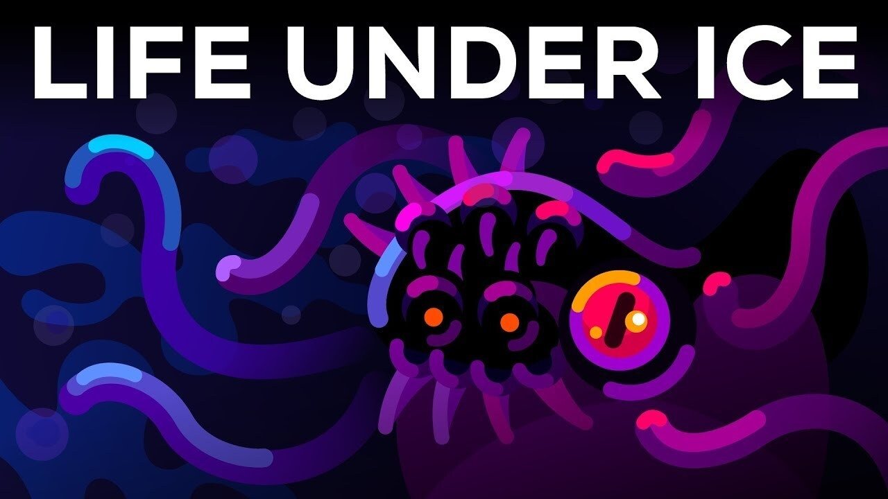 Kurzgesagt - In a Nutshell