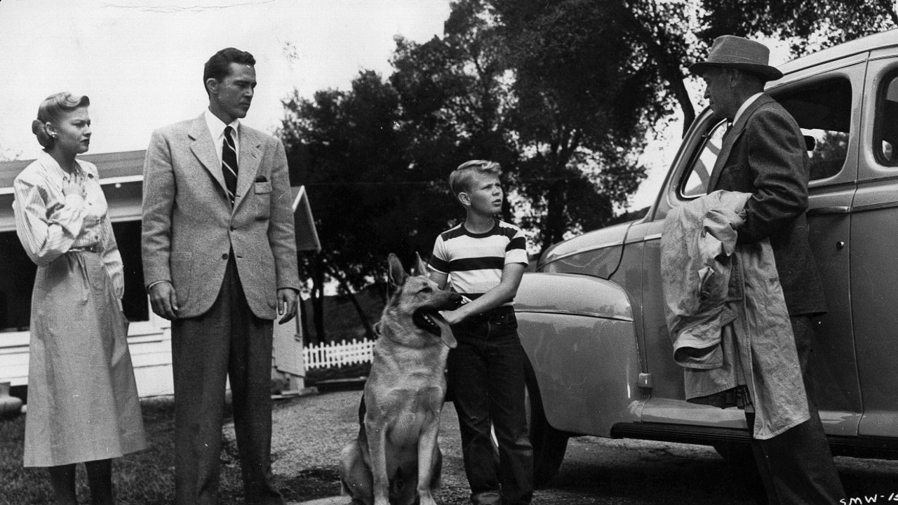Night Wind (1948)