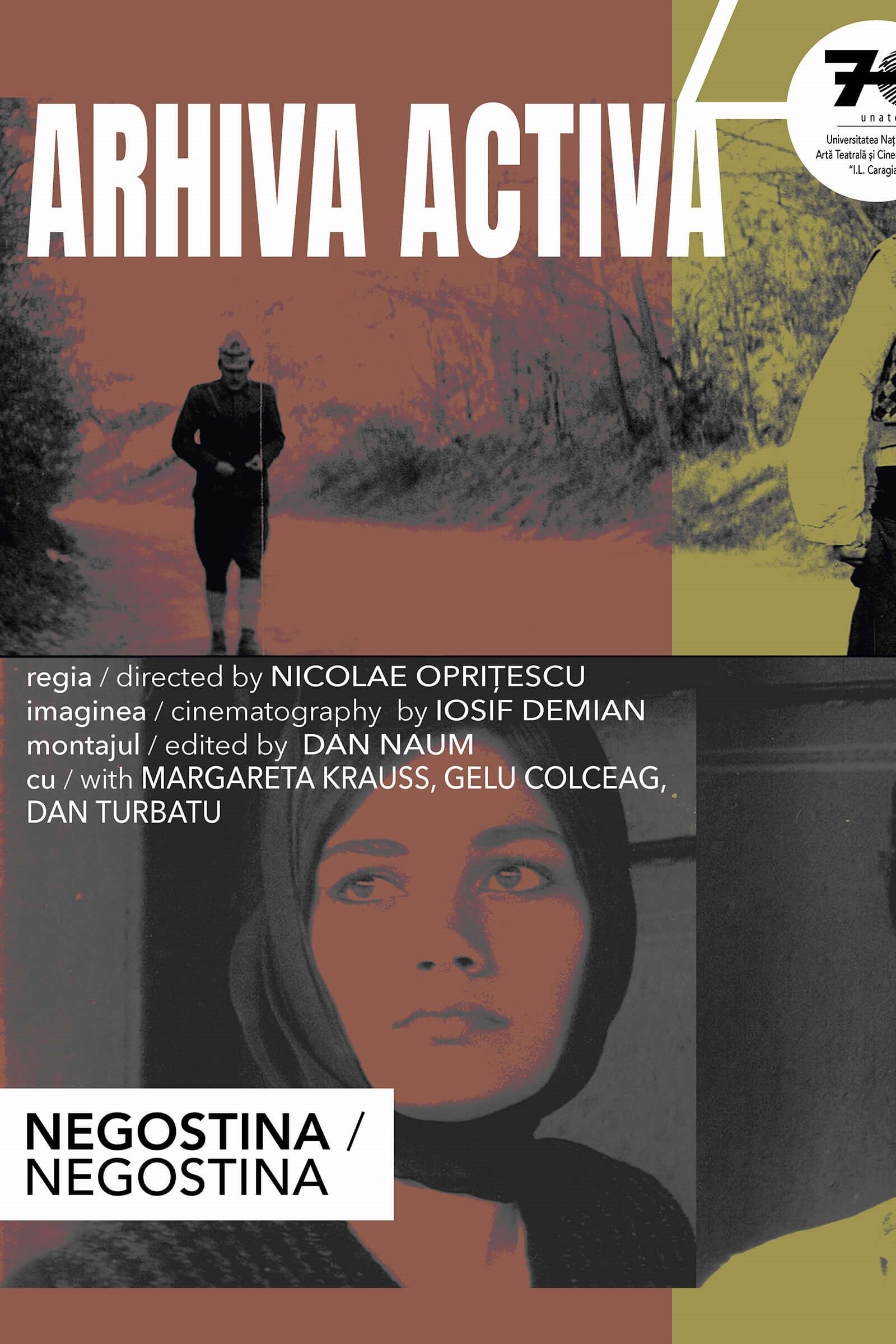 Negostina Negostina