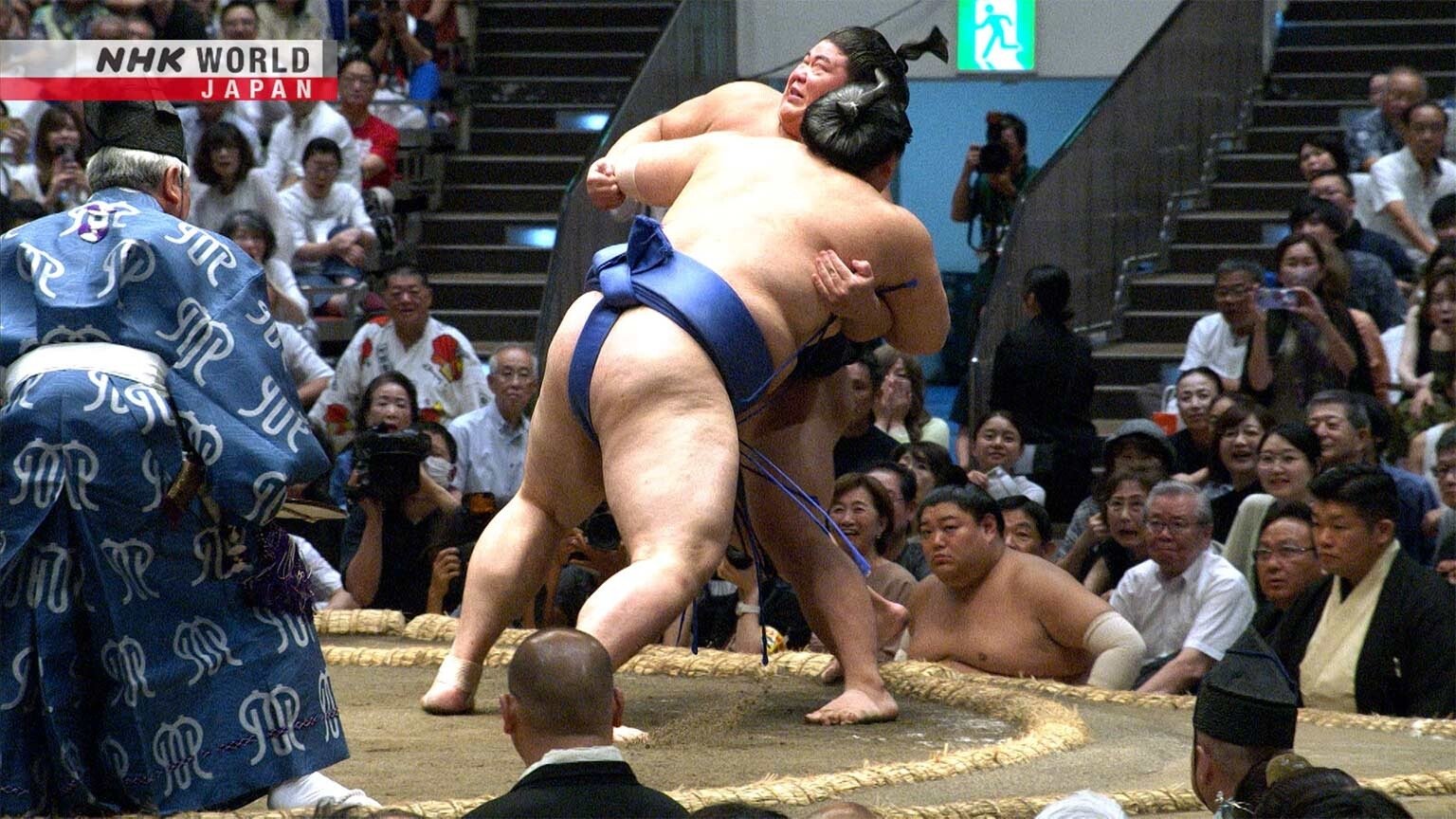 GRAND SUMO Highlights 31x4