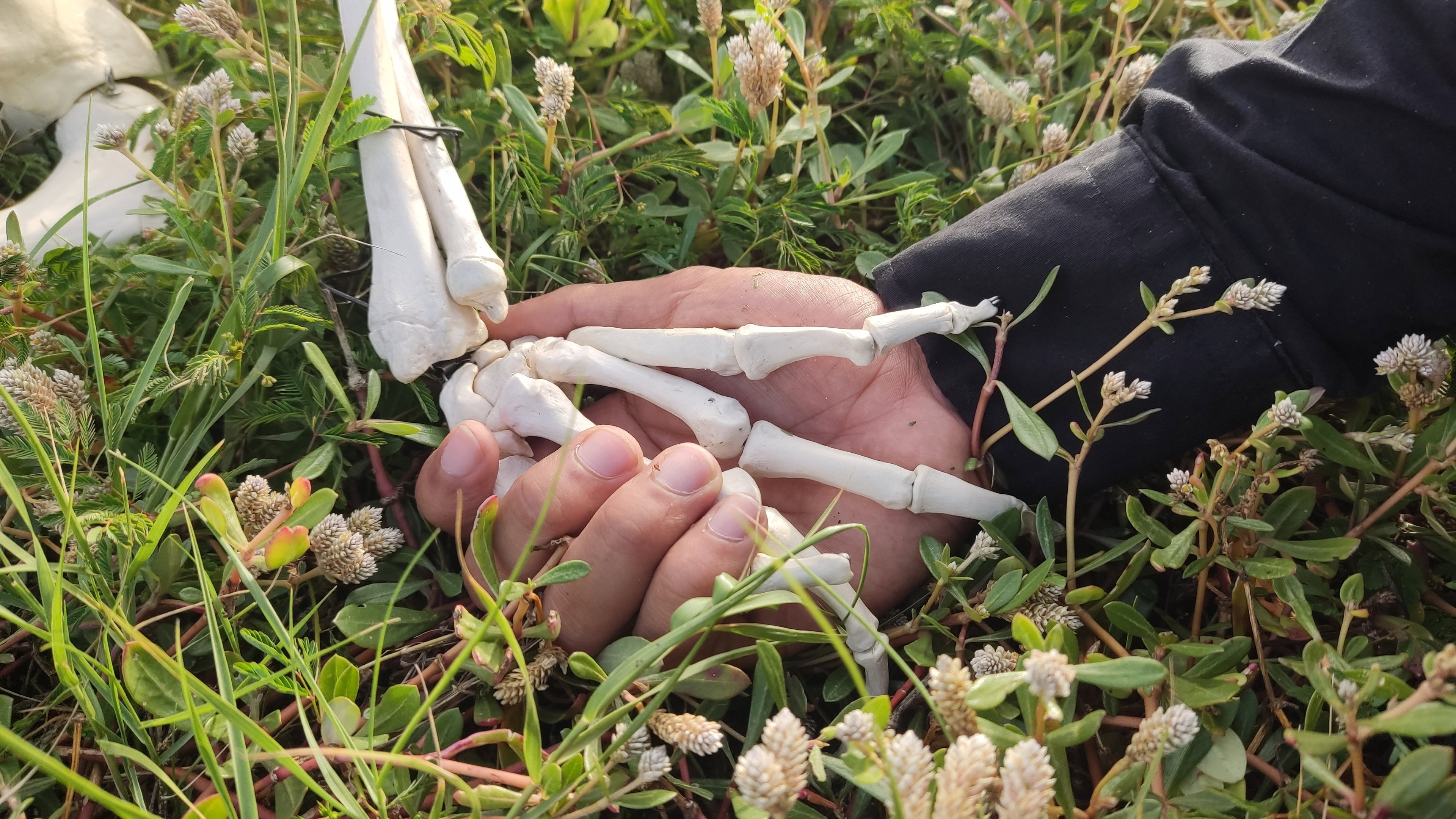 What Will I Do If I Let You Go?