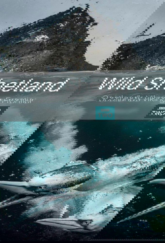 Wild Shetland: Scotland's Viking Frontier