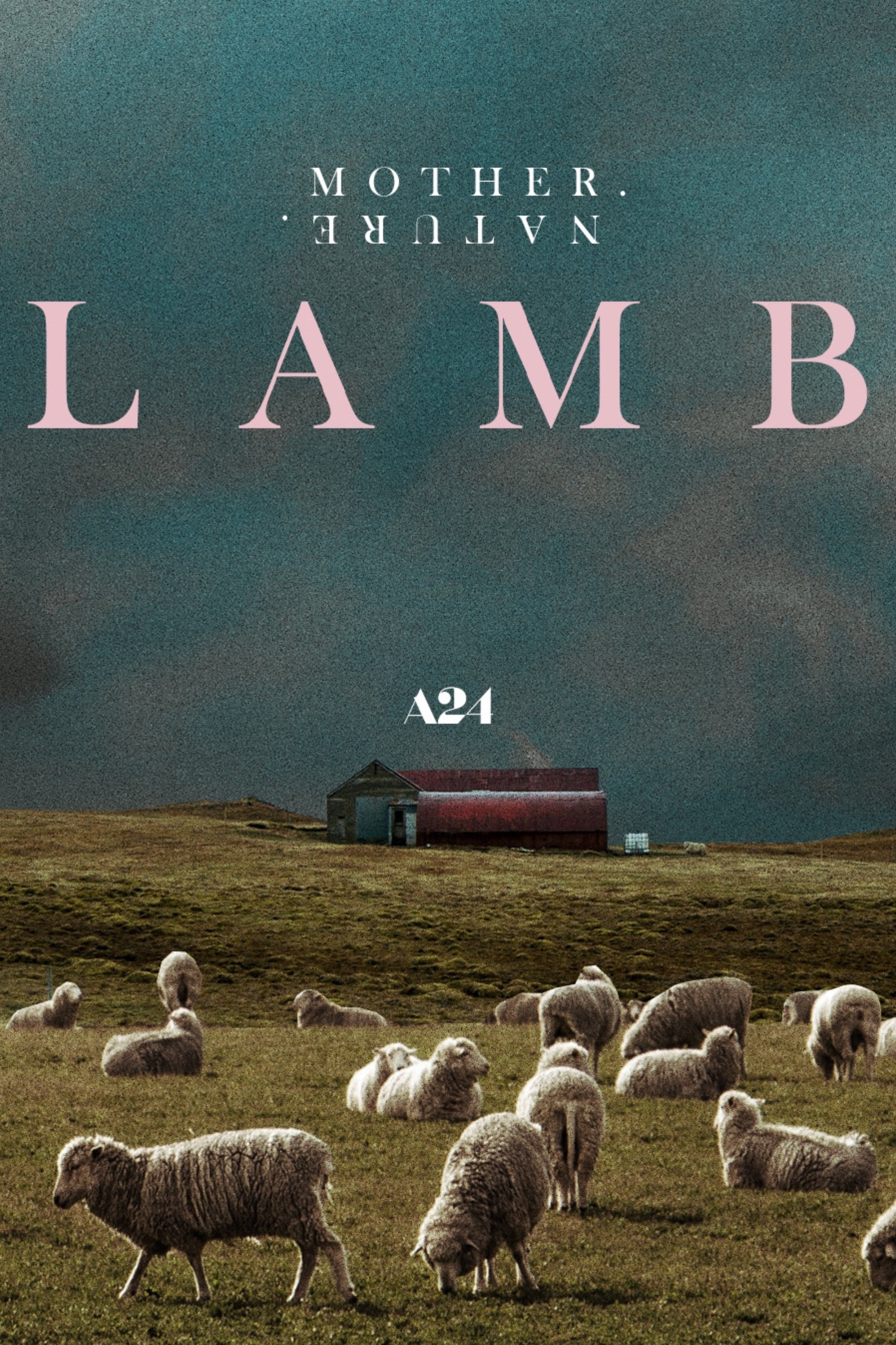 Lamb