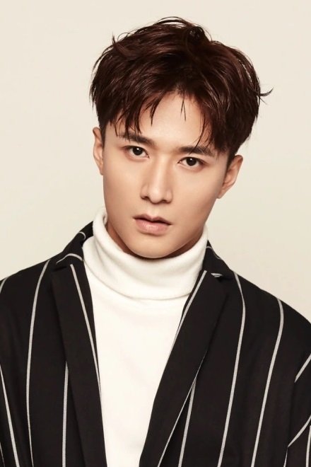 et billede af Wang Haozhen