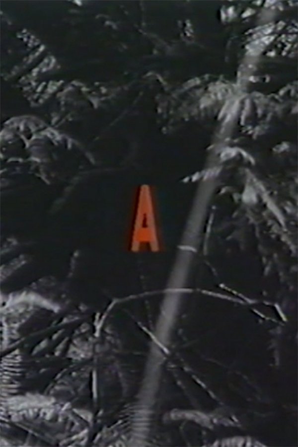 Content cover