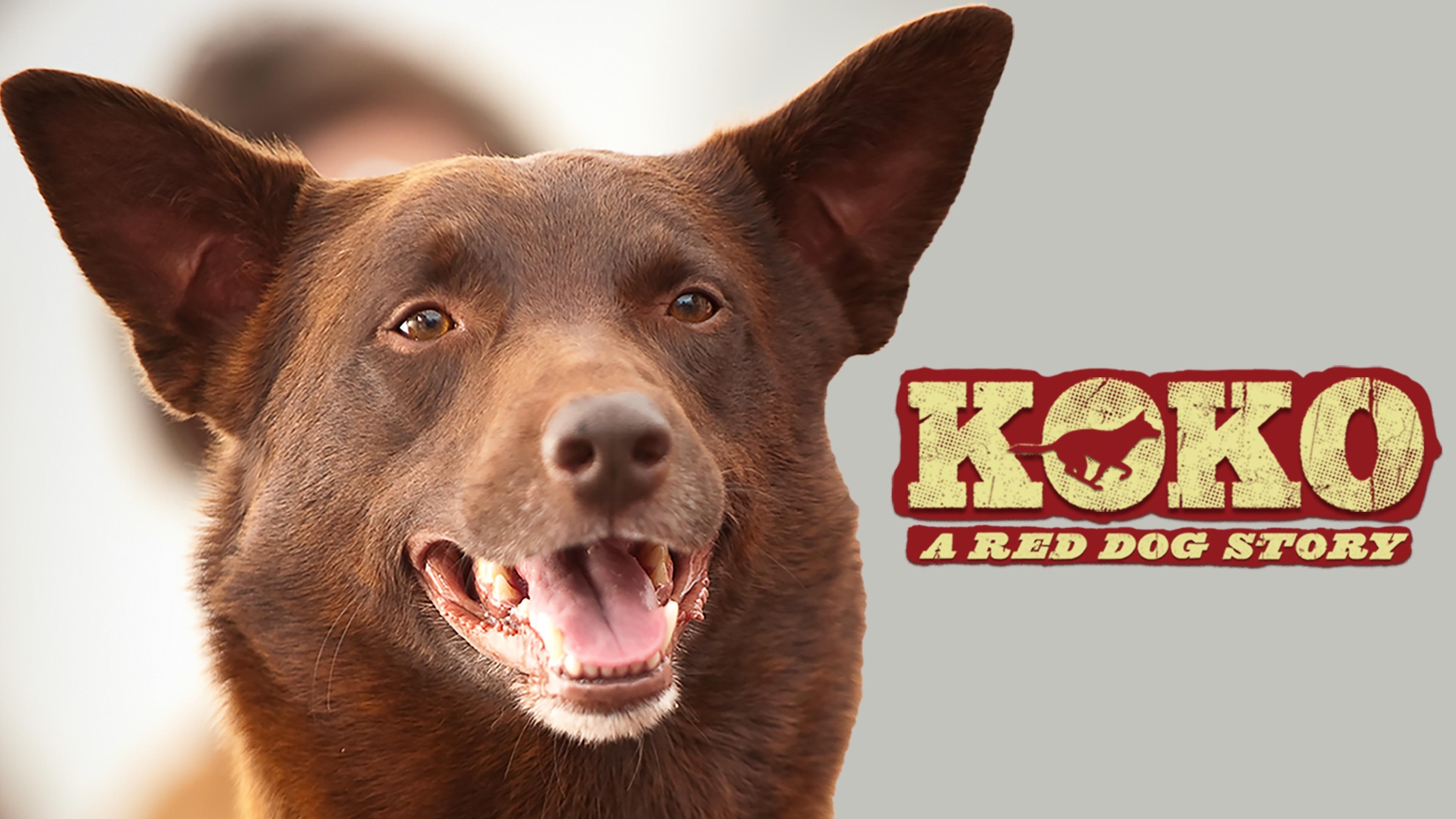 Koko: A Red Dog Story (2019)