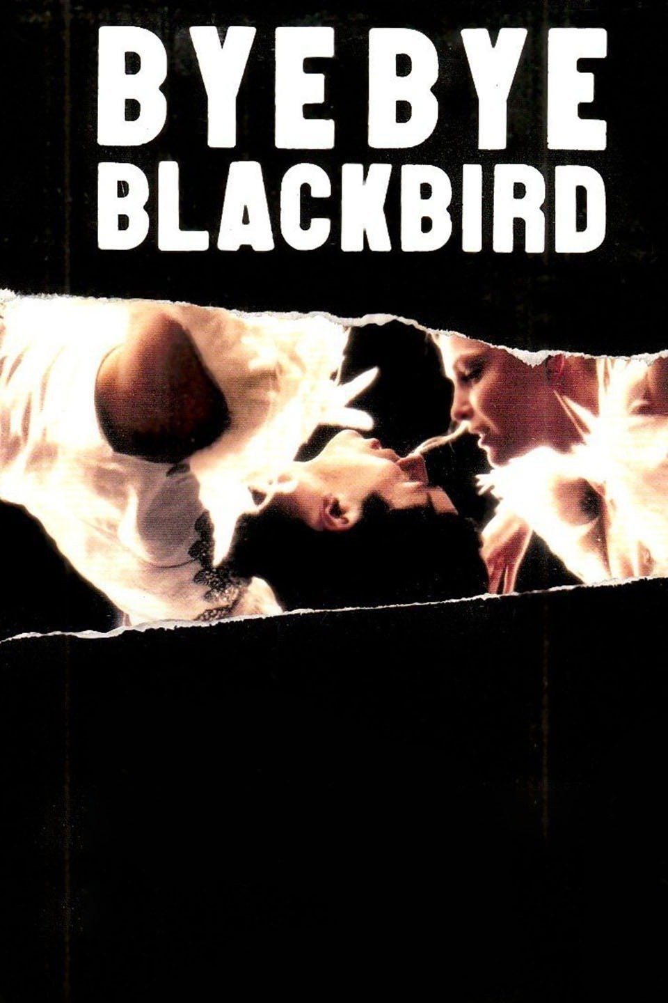 Bye Bye Blackbird