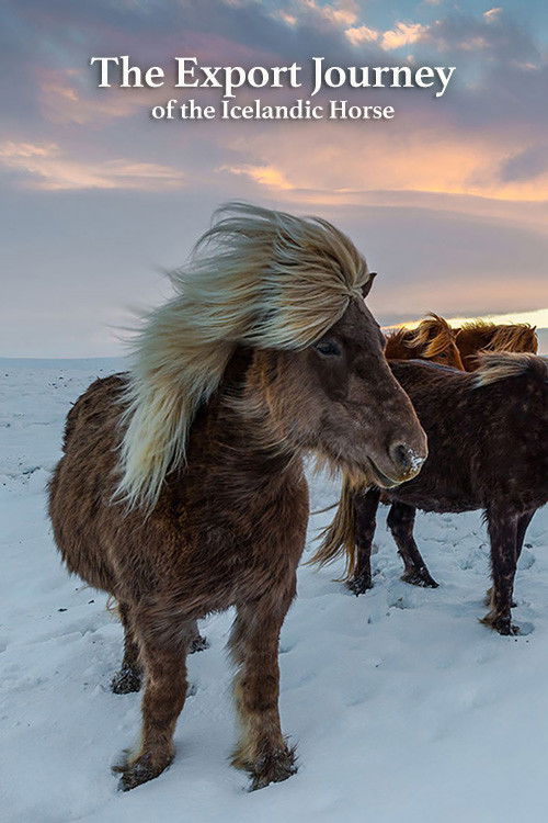 The Export Journey of the Icelandic Horse