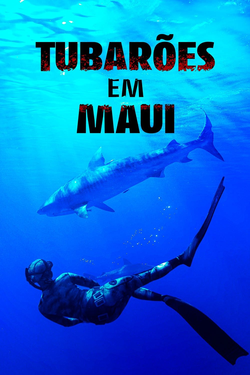 Tubarões em Maui