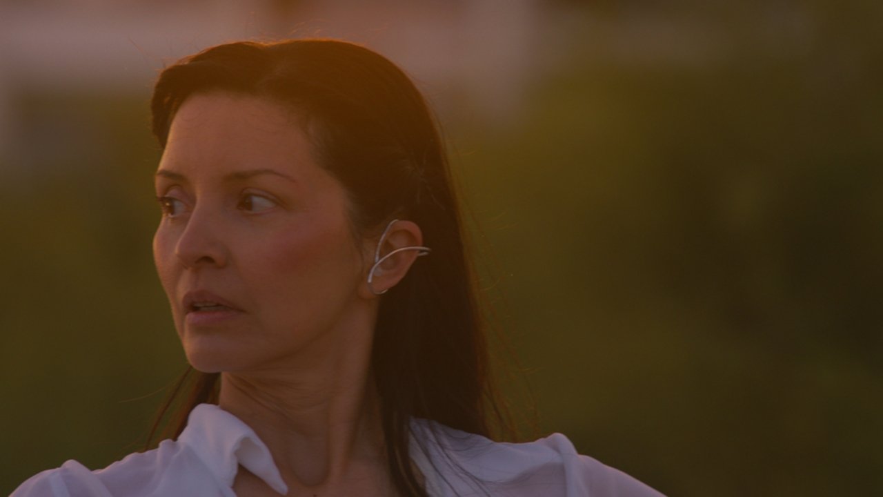 Quiver (2024)