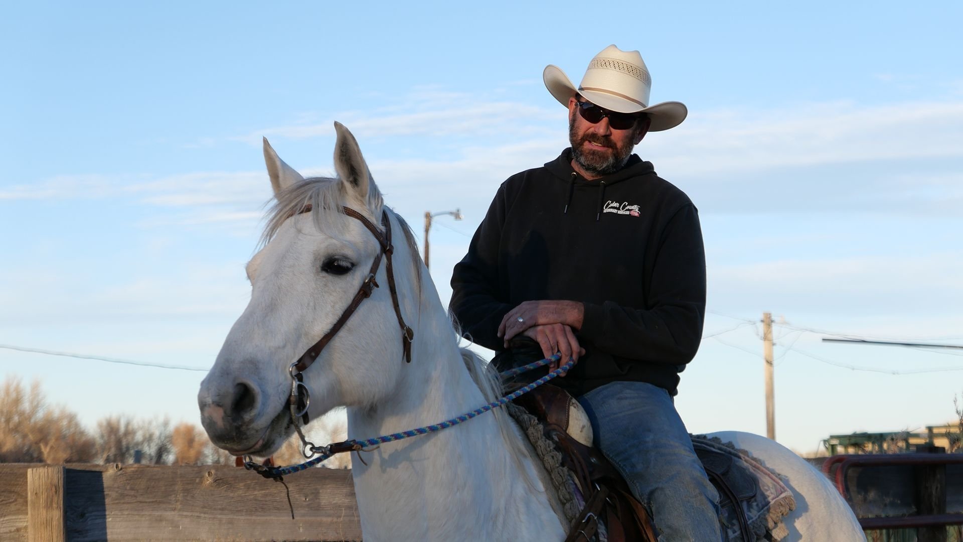 Heartland Docs, DVM