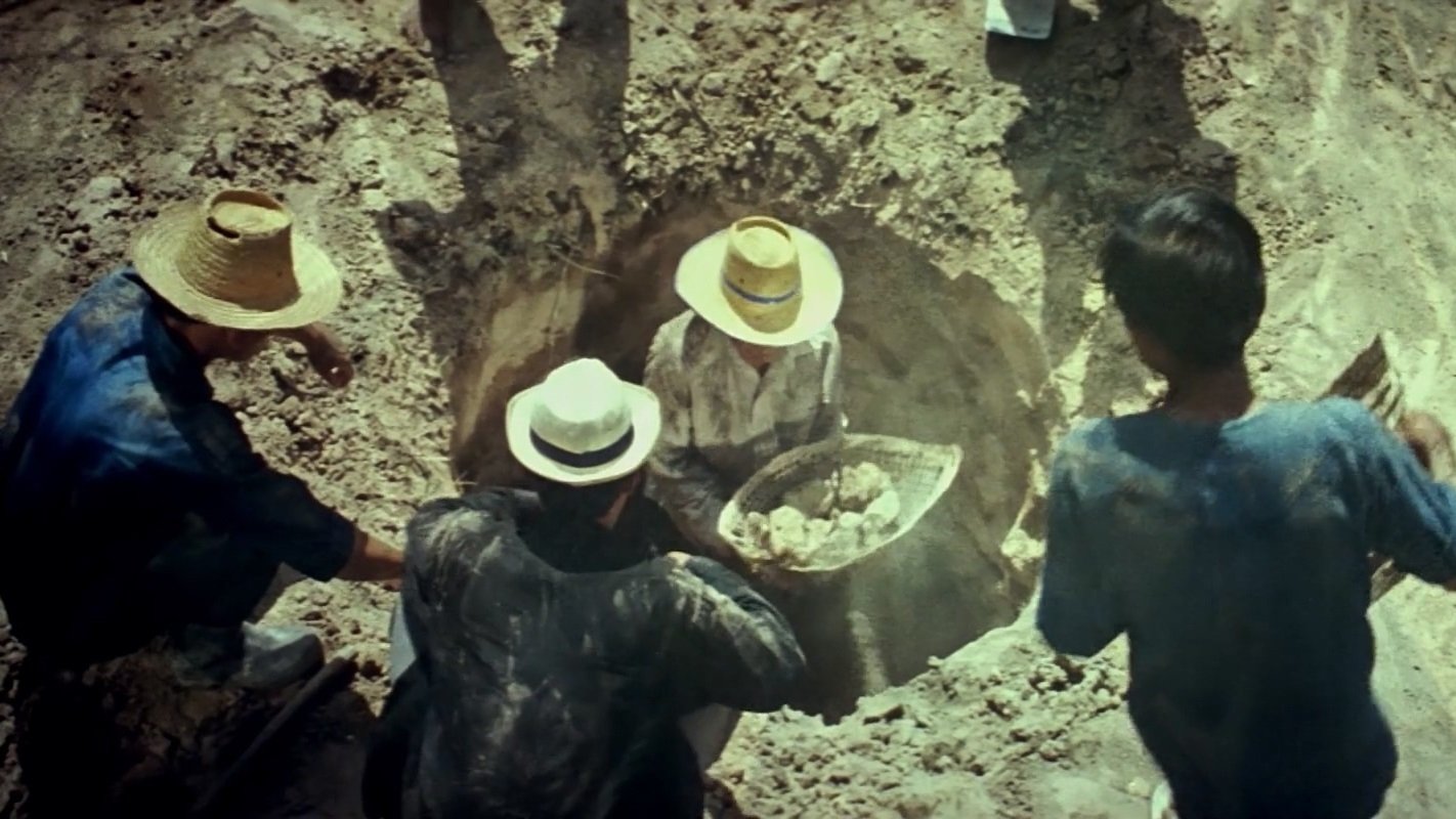 The Seed (1987)