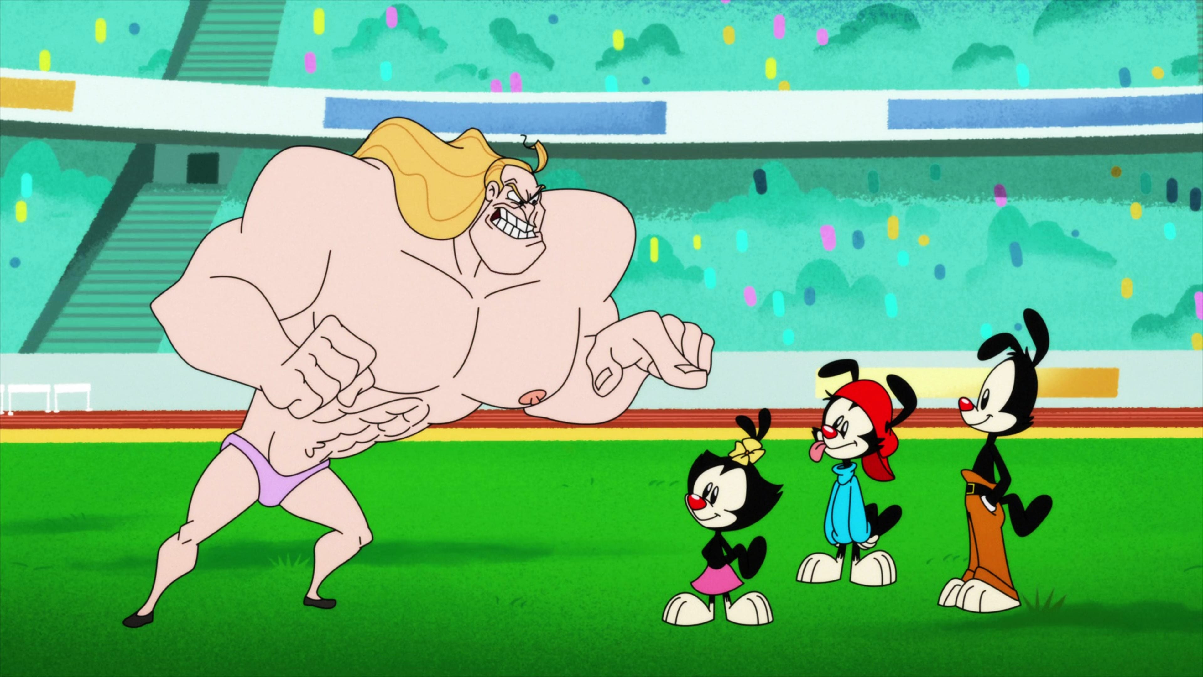 Ver Episodio Animaniacs 2020 1x3 Online Castellano Latino Subtitulado Gnula