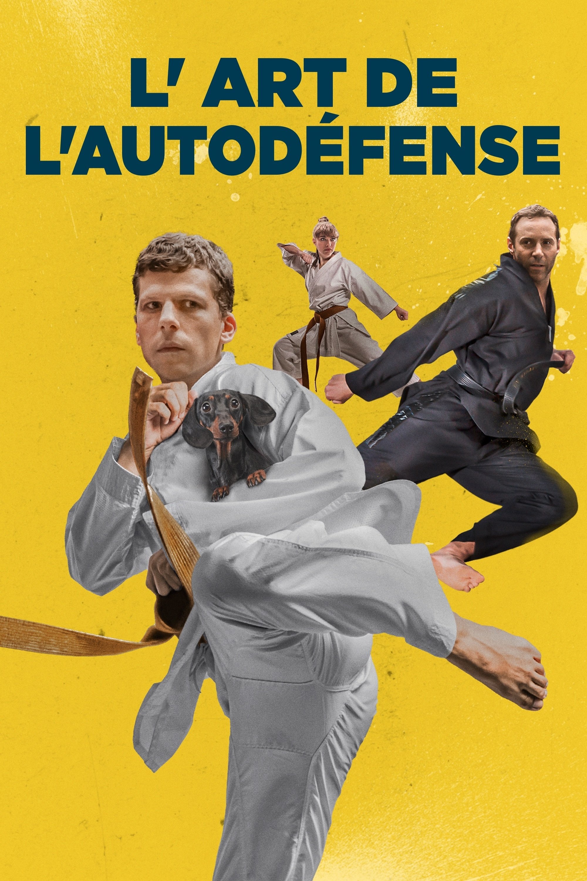 Affiche du film L'art de l'autodéfense 162651