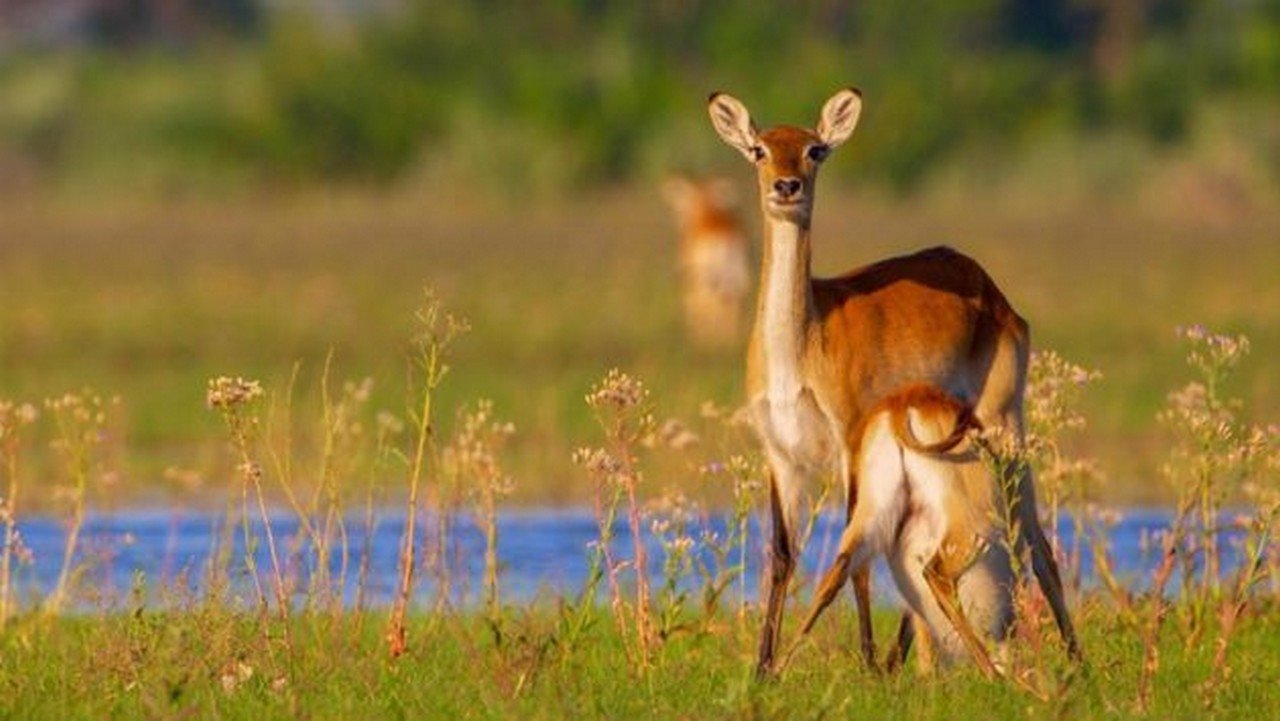 Thumbnail for Episode 1 Season 1 Episode 1