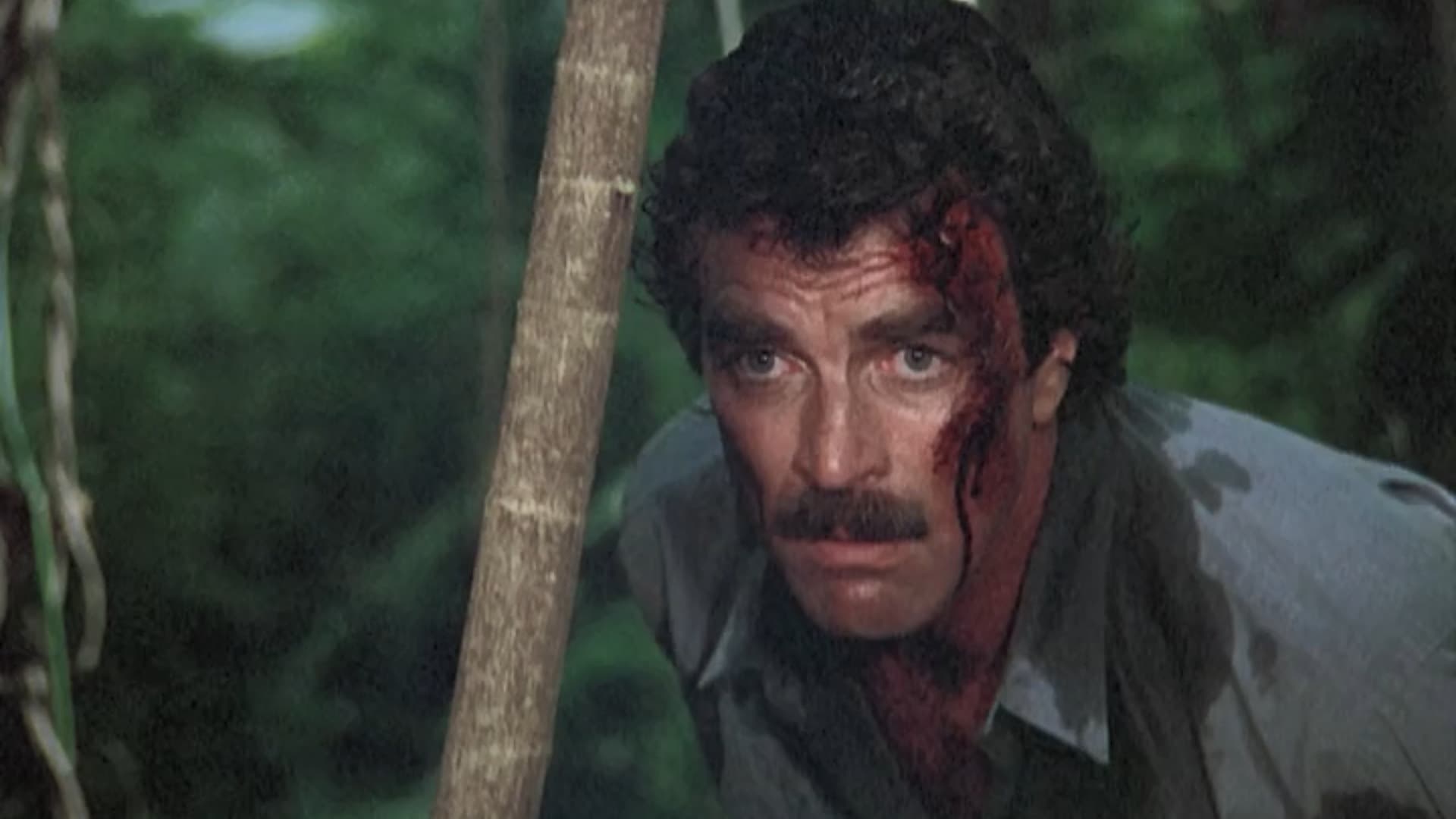 Magnum, P.I.