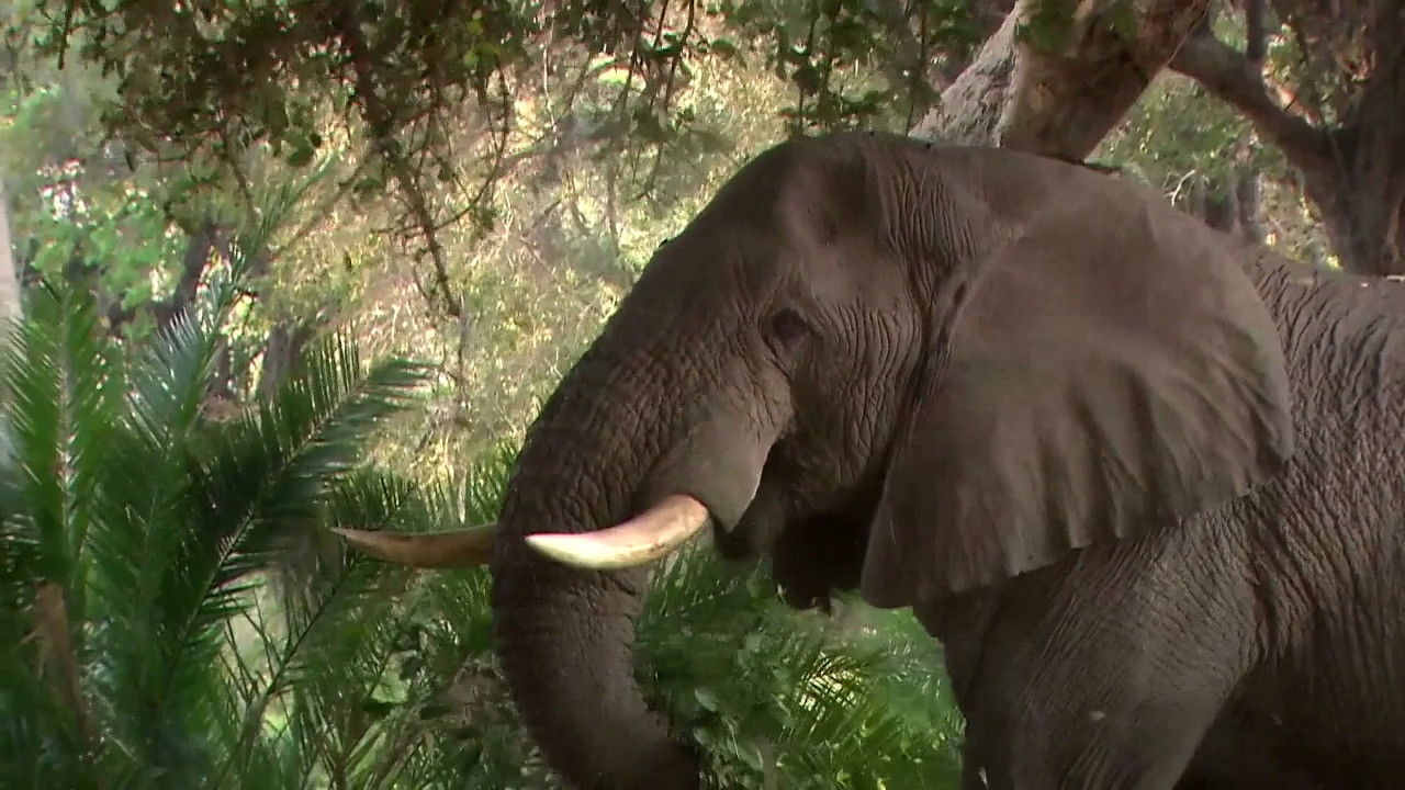 Thumbnail for A Family Affair Season 1 Episode 4