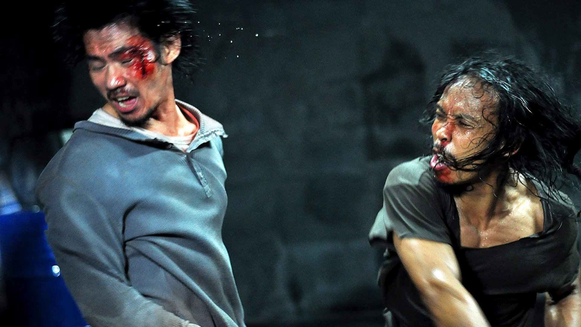 The Raid (2012)