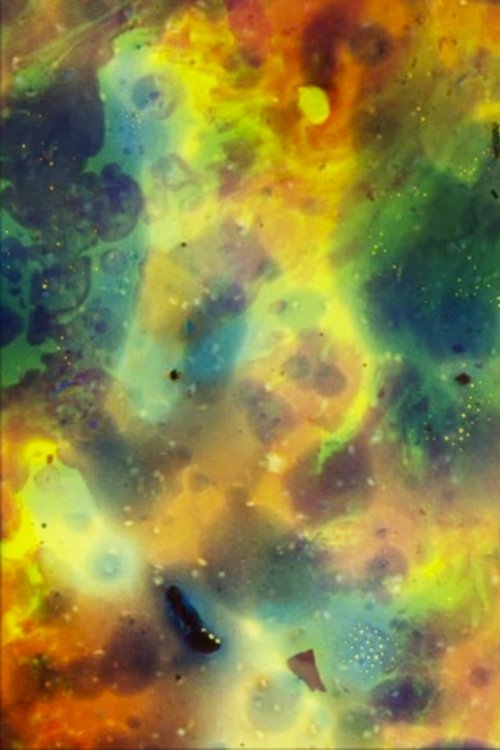 Content cover