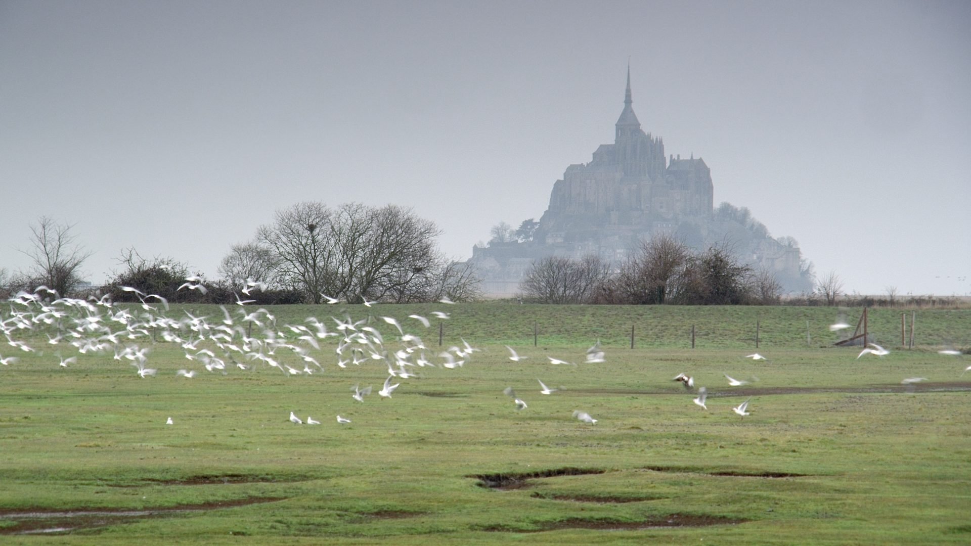 Mont Saint-Michel: The Enigmatic Labyrinth