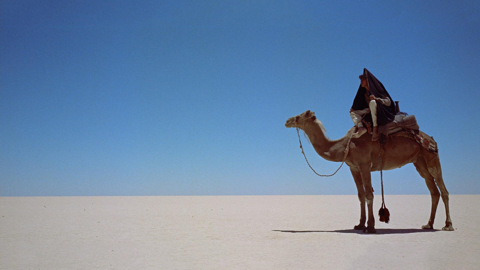 Lawrence of Arabia