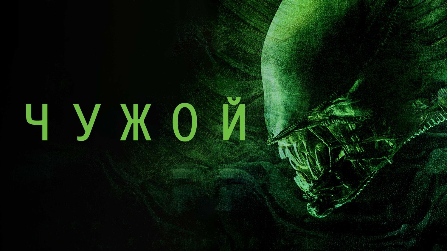 Caption: a green alien head with the word noxvy on it