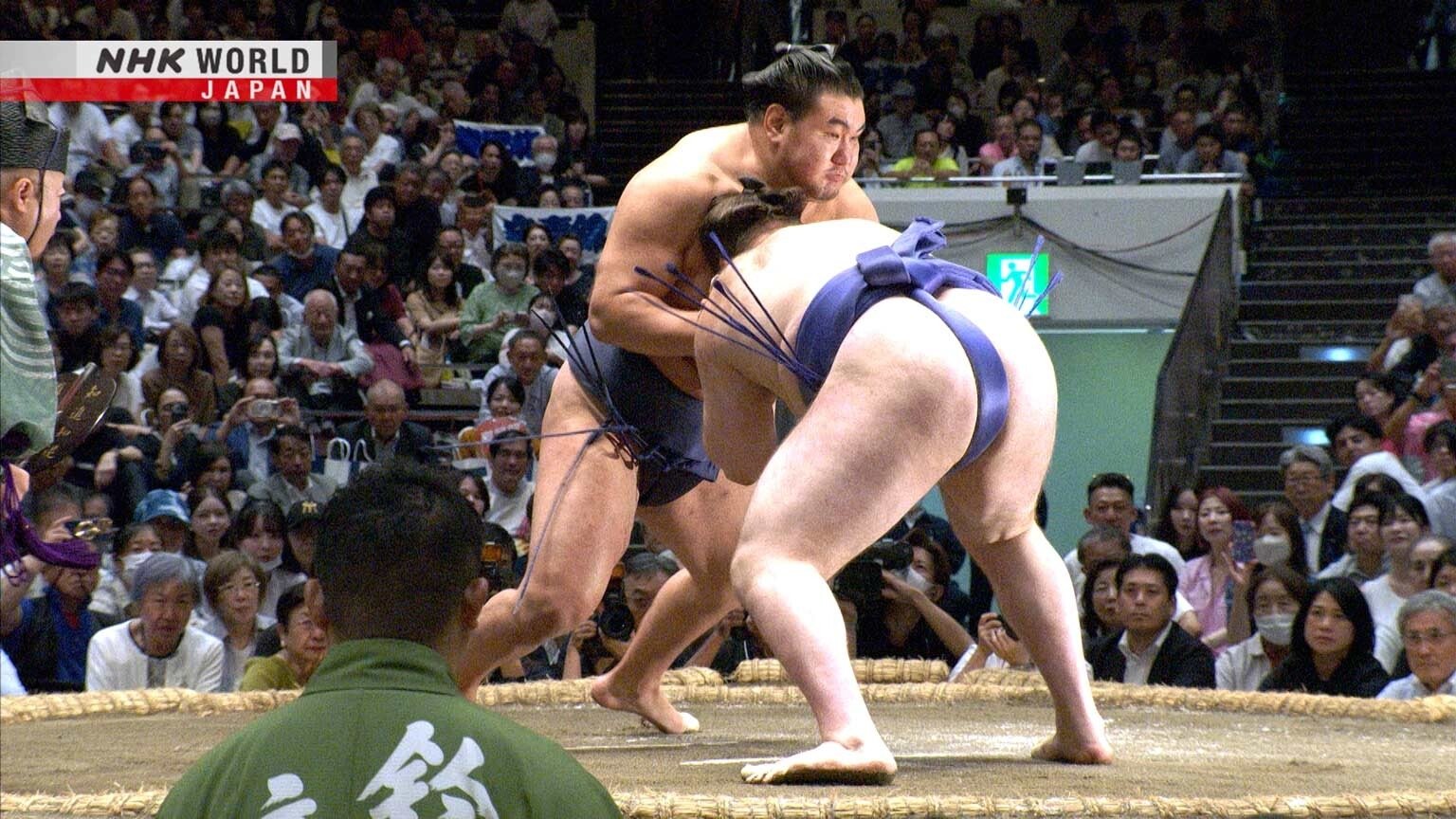 GRAND SUMO Highlights 31x12